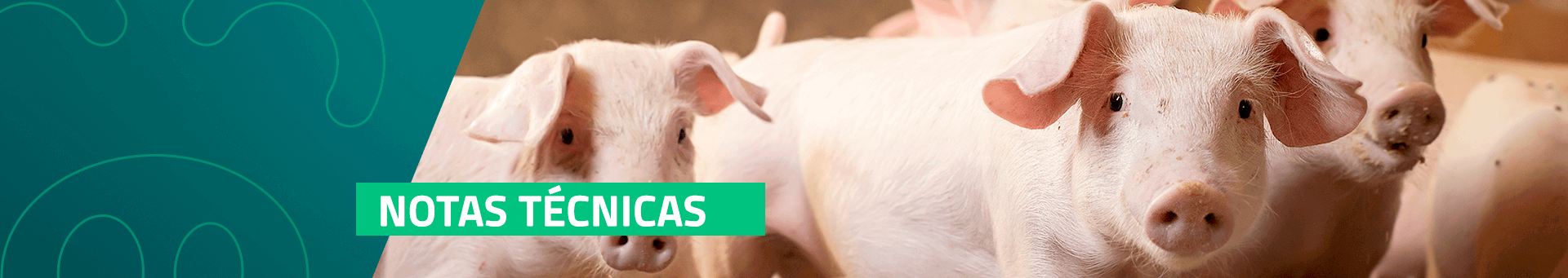 Notas Técnicas ABRAVES PR